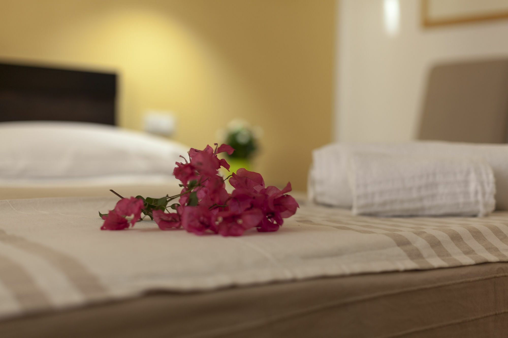 팔레르모 Piazza Marina B&B 외부 사진